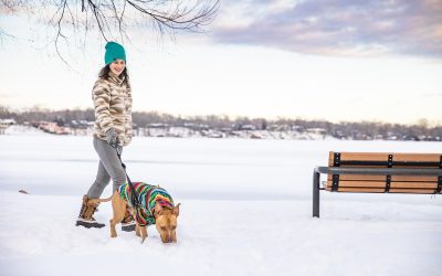 Keep Your Pets Safe and Warm this Winter Season