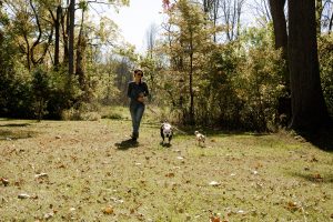 woman walking two dogs in a field