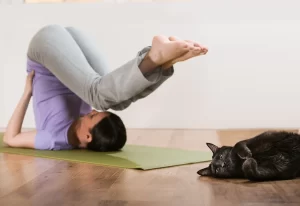 woman doing yoga next to cat