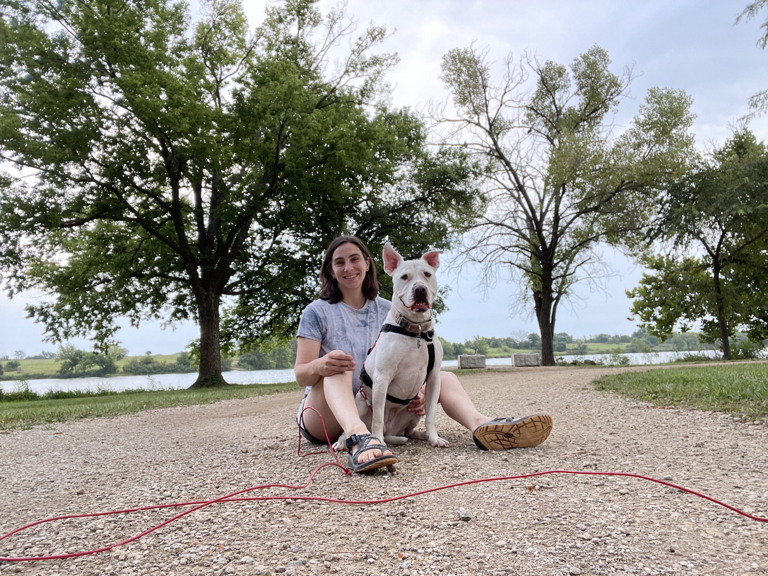 woman sitting on ground with white pit bull