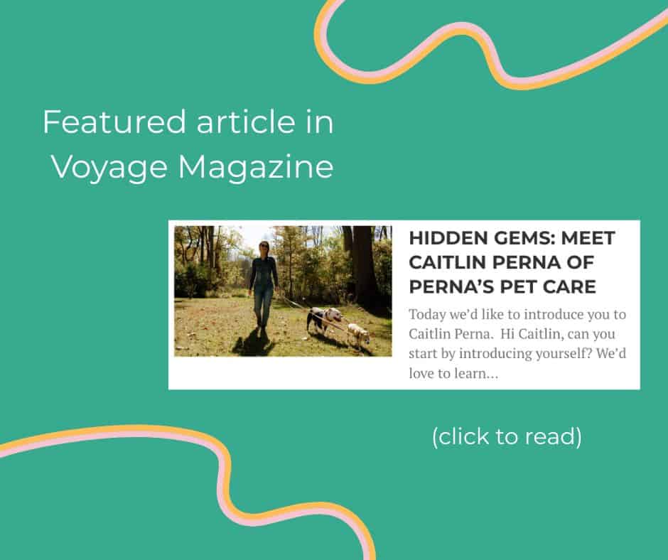 as seen on Voyage Michigan Magazine