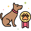 Dog Training