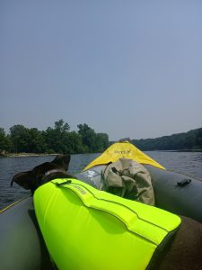 an image taken from behind a black dog in a bright lime green floatation vest, practicing recreational dog training while lounging in an inflatable grey kayak with a yellow tipped front. there is a grey bag between the dog and the front of the boat. the background is the calm blue water and green trees of ann arbor's huron river.