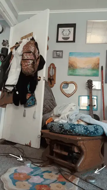 a short gif of a tall black dog with white paws and chest practicing nosework training by sniffing the ground and seeking out a small metal scent tin, pointed to by white arrows. the room is decorated in a maximalist style with light grey painted walls and an open white door adorned with hanging coats and a backpack. a white person with a mustache, beard, and long hair enters from the open door wearing red pants, a black shirt, and a red bandana on their head.