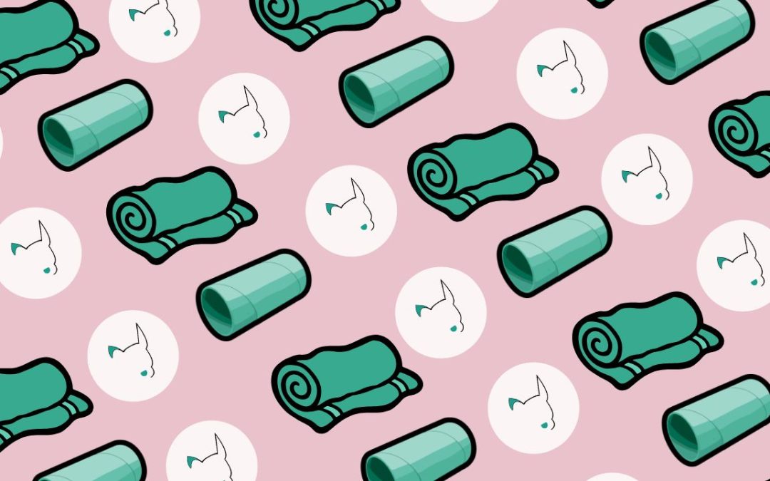 6 Indoor Dog Enrichment Ideas