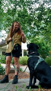 man and large black dog doing dog behavior training