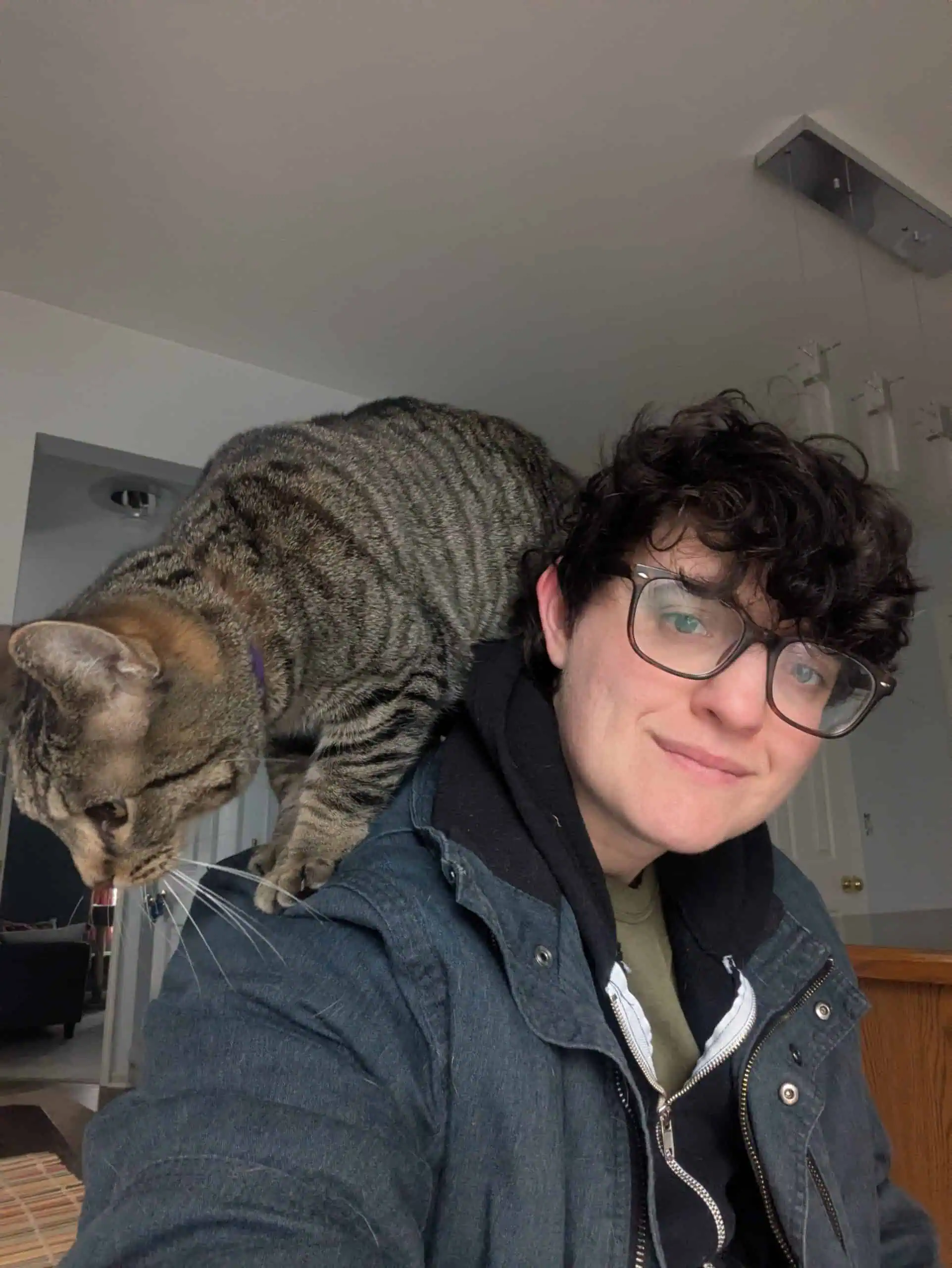 person with a cat sitting on their shoulders